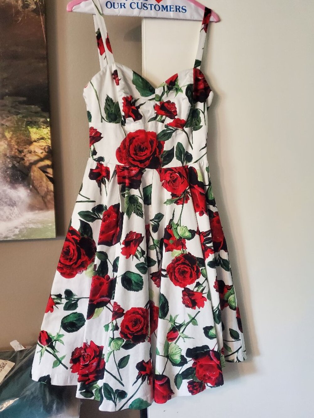 Retrospec'd Rose Dress Size 10